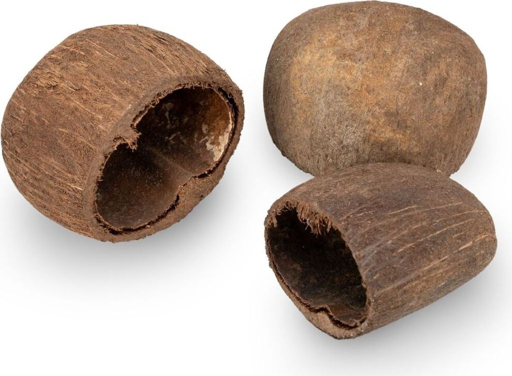 Palm Pods wählbar in Natur oder Weiß, Größe ca. 5-7cm | Produktbild 