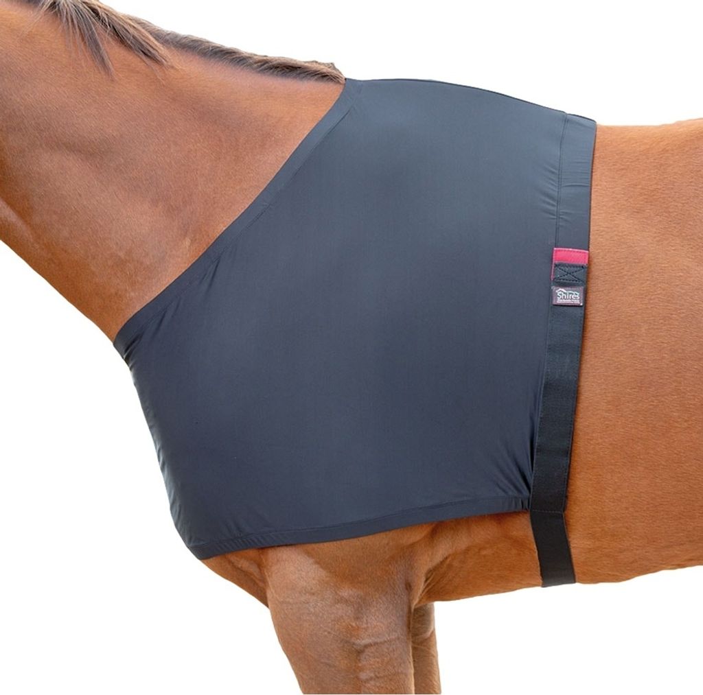 Shires - Stretch Pferdeweste ER132 (Full) (Schwarz)