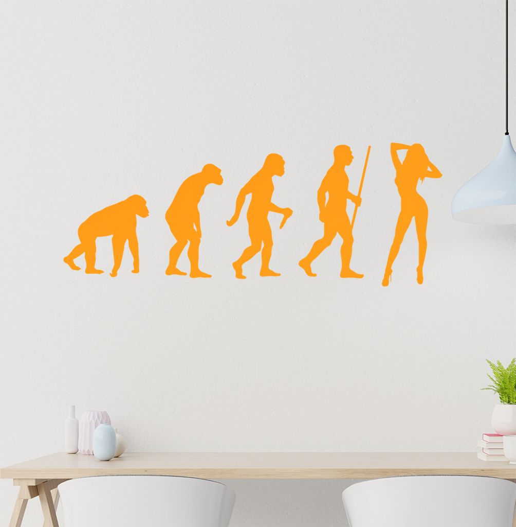 Sexy Girl Hot Body Evolution Wandtattoo Wandaufkleber Wall Sticker - Dekoration, Küche, Wohnzimmer, Schlafzimmer, Badezimmer