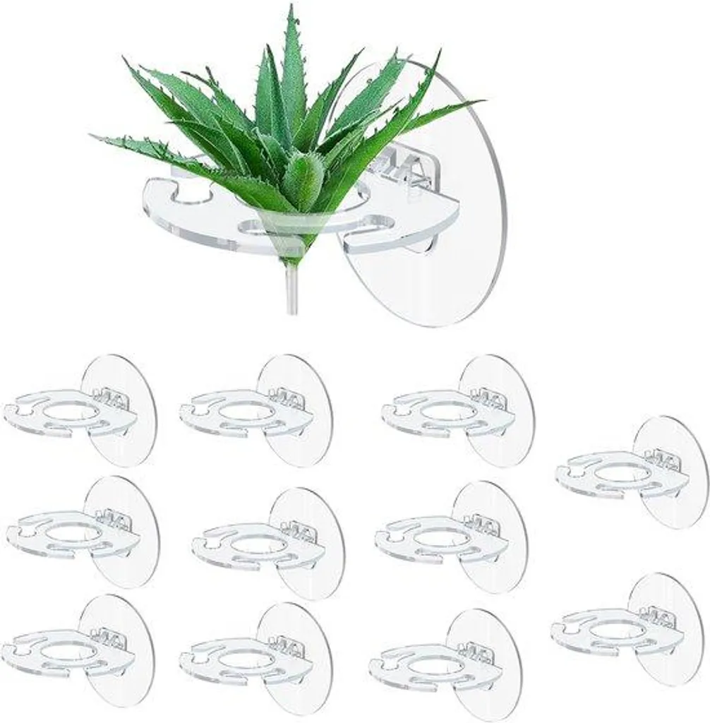 Support mural en verre pour plantes aériennes et suspendues à 12 cases