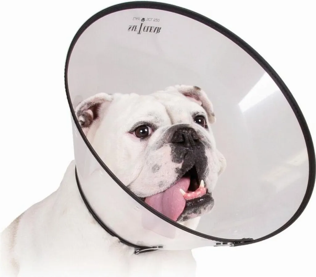 Collare per cani KVP Saf-T-Clear Trasparente (30-76 cm)