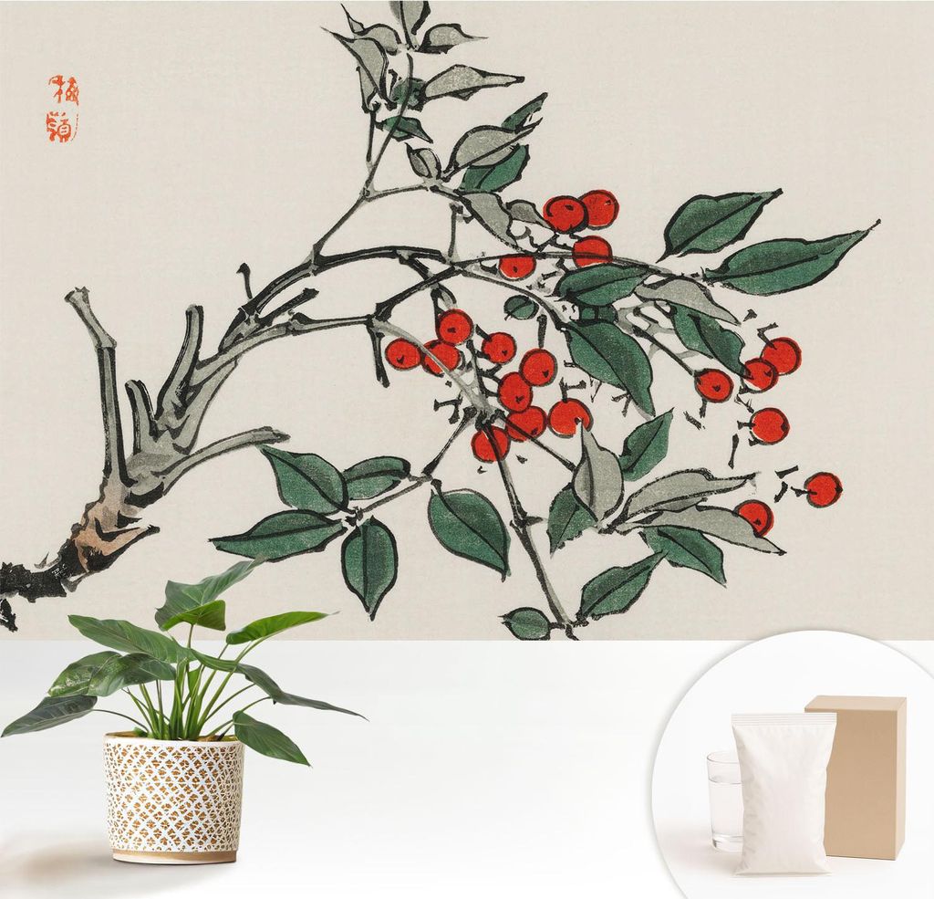 Fototapete - 152x104 cm - Tapete - Wandtapete - Wandbilder - Dekofolie - Tapete Folie - Wand - Dekoration - Wohnzimmer - Ein Zweig Beeren