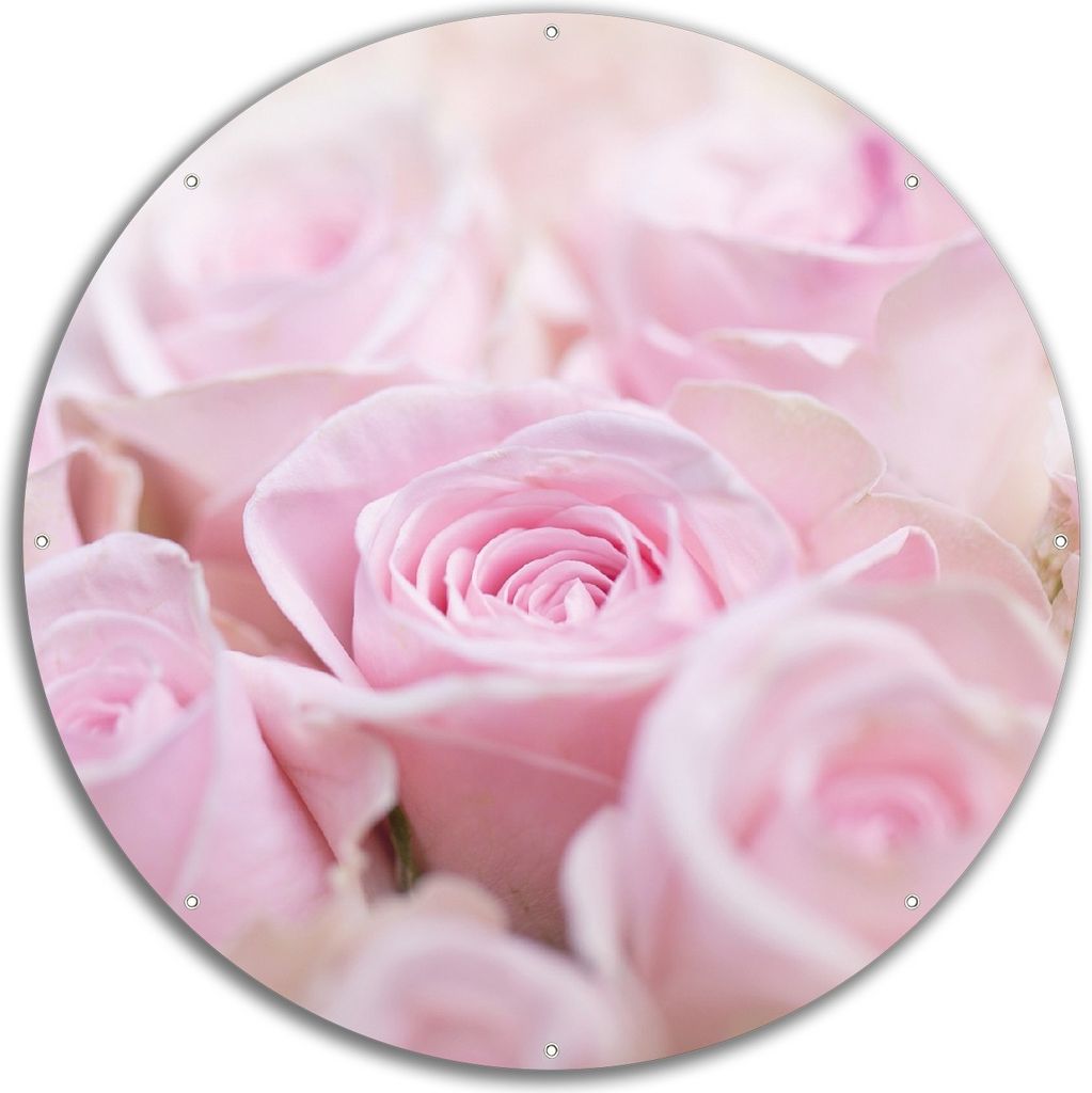 Wallario rundes Outdoor-Poster für Garten oder Balkon, Motiv Rosafarbene Rosenblüten im Strauß, 60 cm Durchmesser
