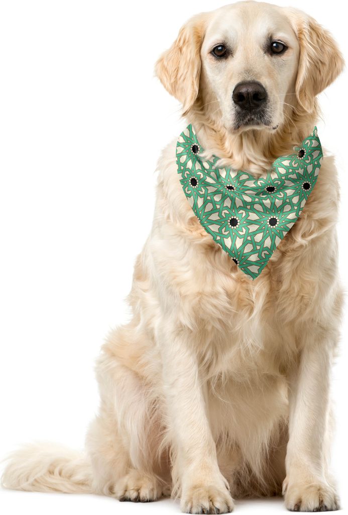 ABAKUHAUS marokkanisch Haustier Bandana, North Stars, 40x40 cm, Sea Green Creme-Schwarz