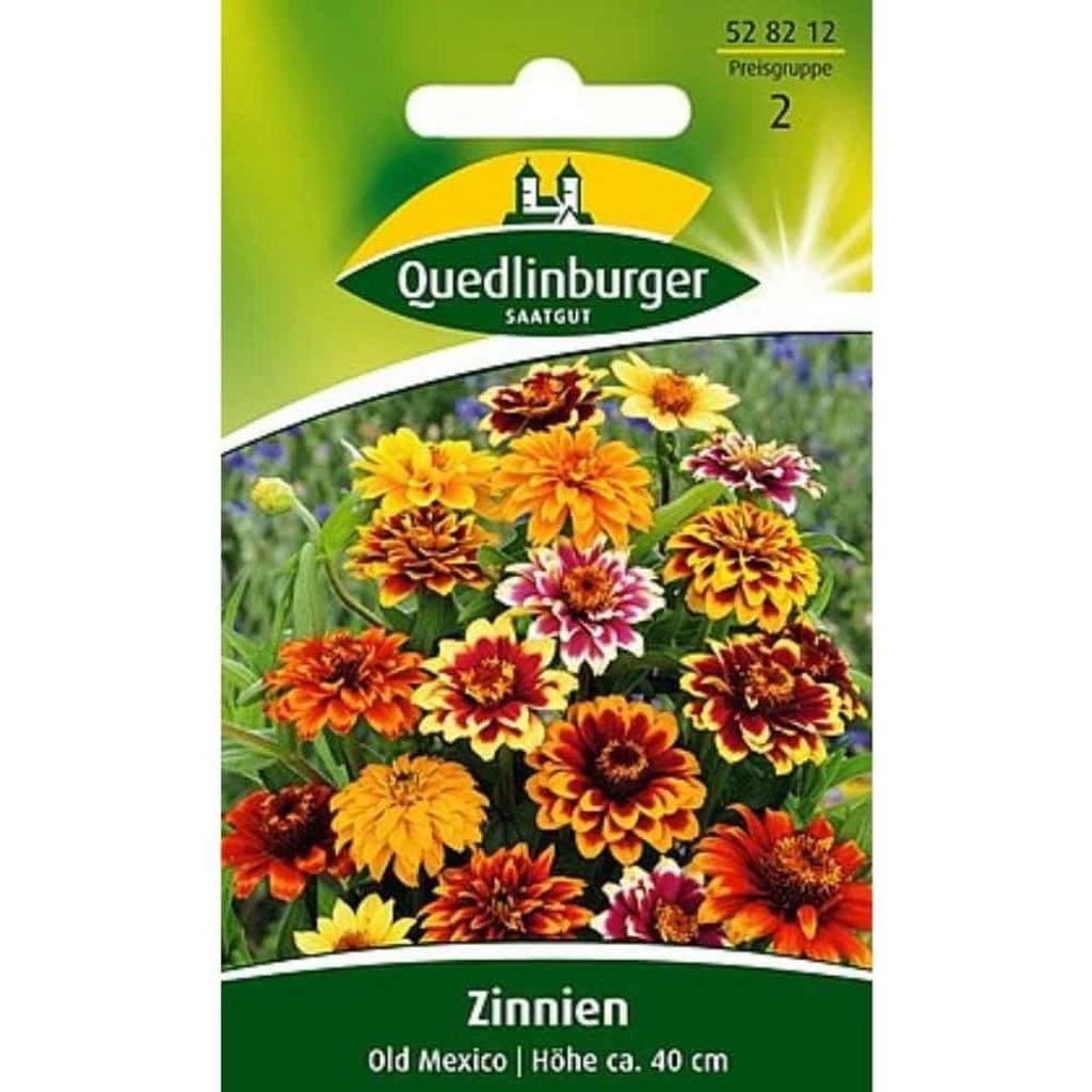 Zinnie Old Mexico Zdjęcie produktu 