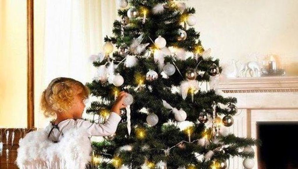 Dekofedern, 1er Pack, Pistazie