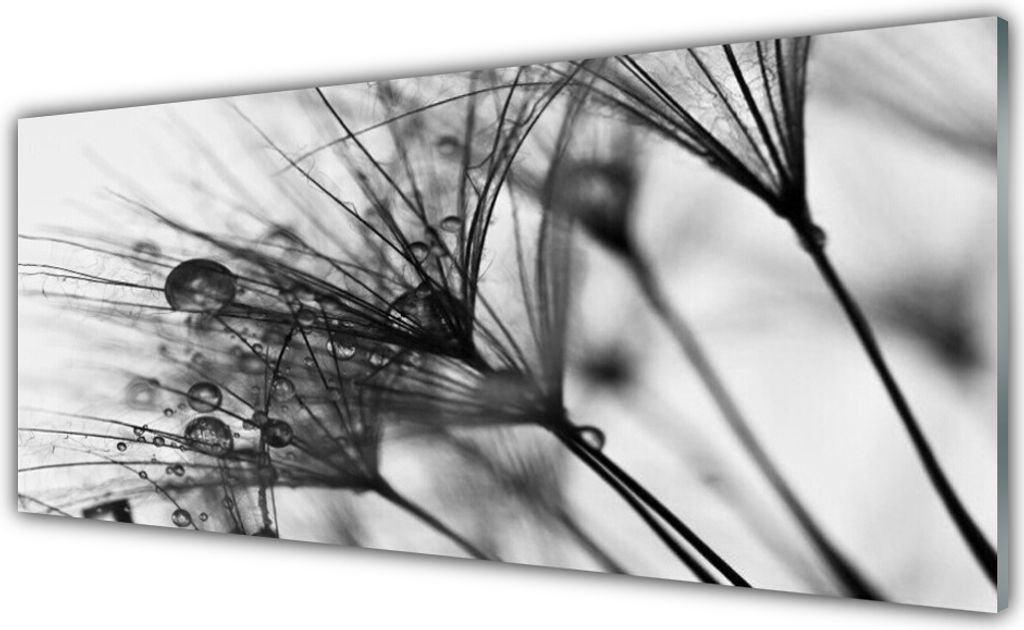 Glasbilder 125x50 Wandbild Druck auf Glas Abstraktes Pflanzen