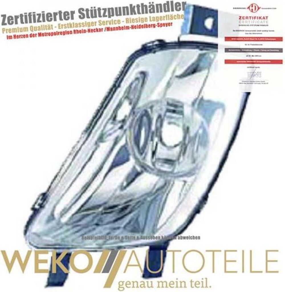 Nebelscheinwerfer links DIEDERICHS 4235089 für PEUGEOT