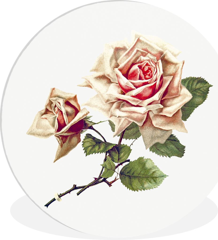 MuchoWow - Schlafzimmer - Bilder - Der Kreis - Kunst für die Wohnung - Plastik - Kunstdruck - Wandbild