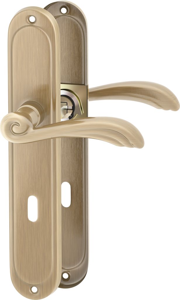 A pair of bronze door handles and backplates are shown against a white background.