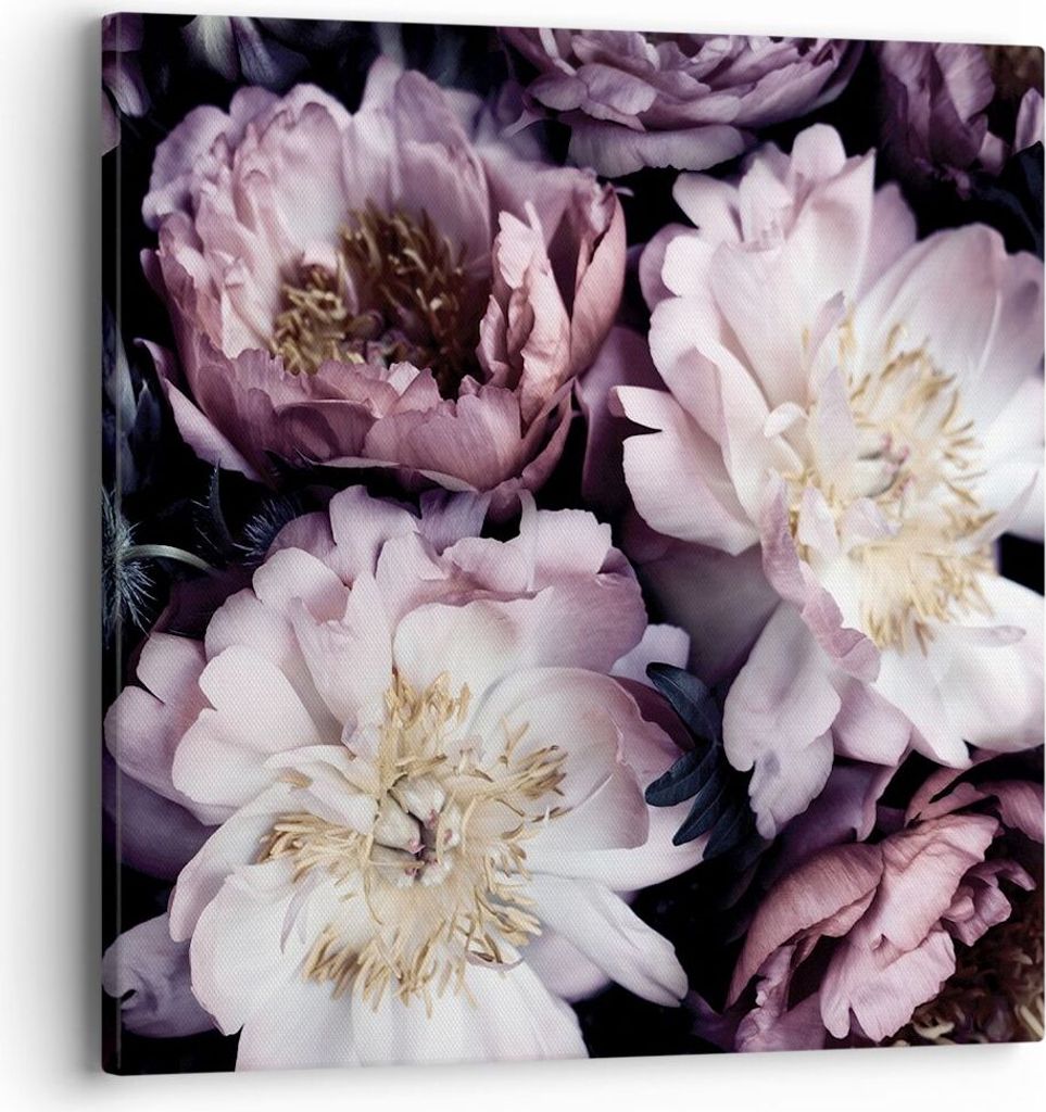 Bild auf Leinwand - Leinwandbild - Einteilig - Pfingstrosen Veilchen Blumen - 40x40cm - Wand Bild - Wanddeko - Wandbilder - Leinwanddruck - Bilder ...