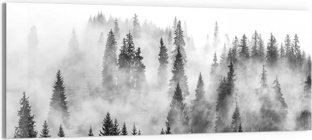 DEQORI Glasbild Echtglas 150x60 cm 'Flüsternde Tannen' Wandbild Bild modern Deko