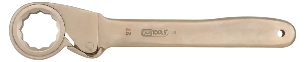 Cliquet à pignon BERYLLIUMplus 22 mm avec bague 12 pans antidéflagrant