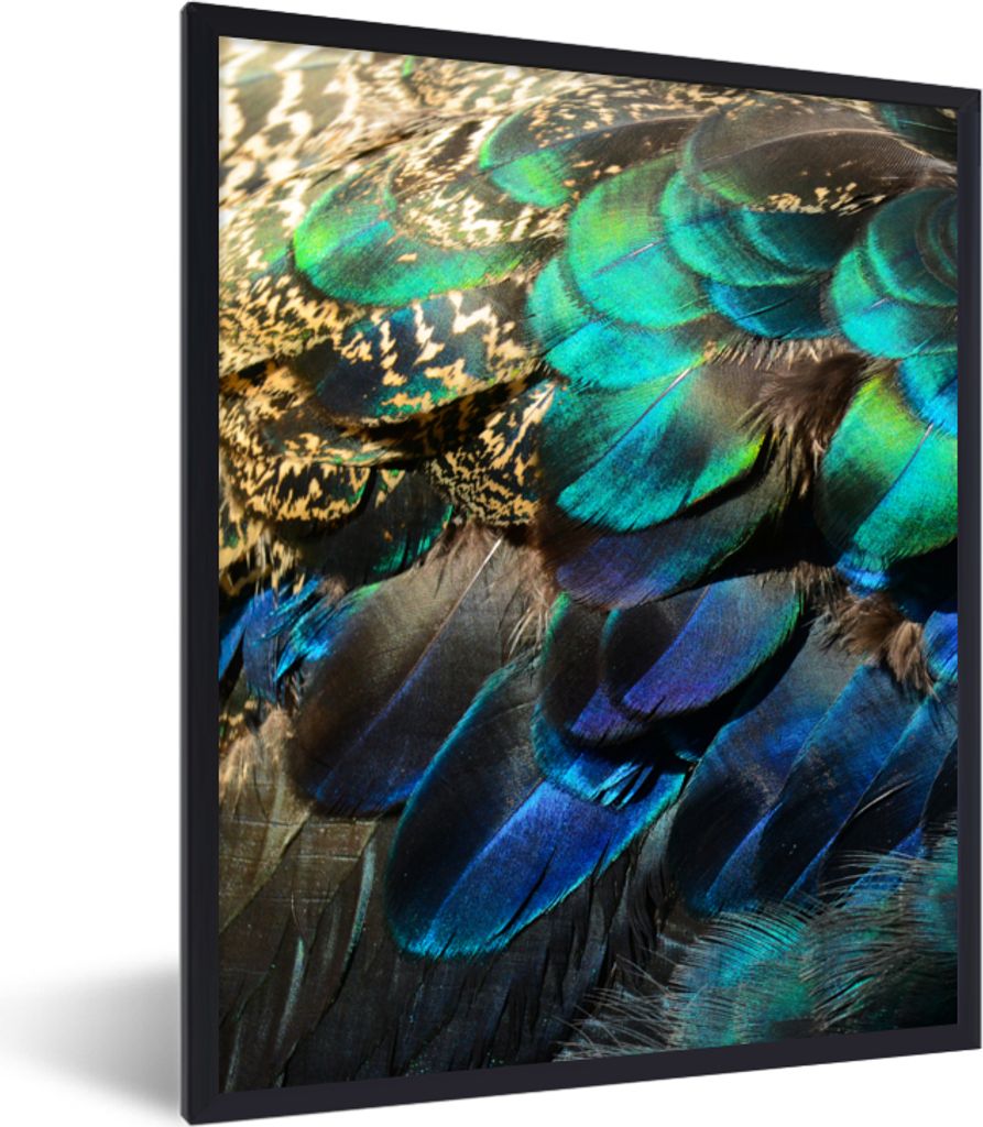 MuchoWow Gerahmtes Poster Federn - Pfauenfedern - Pfau - Blau - Kunst 60x80 cm - Poster mit Schwarzem Bilderrahmen Wandposter Rahmen Foto Bilder ...