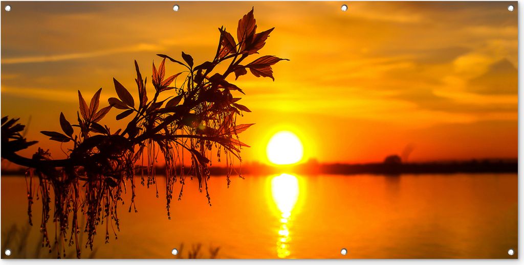 MuchoWow 160x80 cm Outdoor-Poster Gartendeko Sichtschutz Garten Poster für den Garten Sonnenuntergang - Wasser - Pflanzen - Orange
