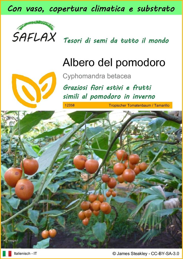 SAFLAX Garden to go - Albero del pomodoro - 50 semi - Immagine del prodotto 