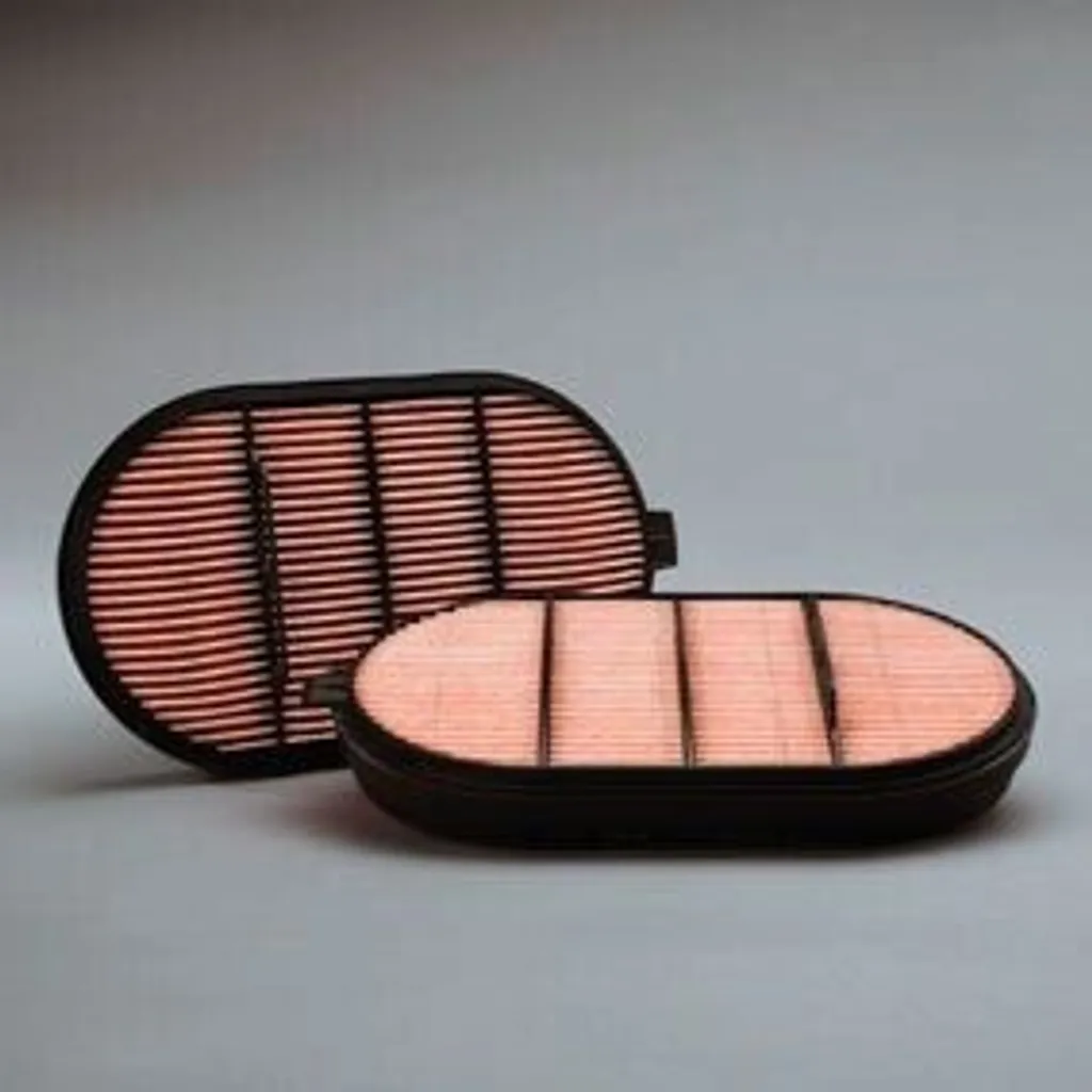Filtre à air Donaldson P601560 pour environnement poussiéreux et TP