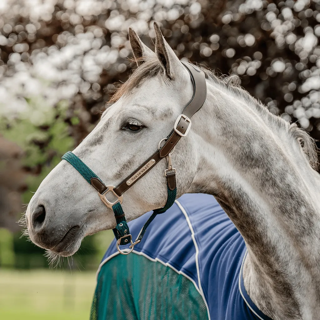 Licol anatomique en cuir Horseware Signature pour le confort du cheval