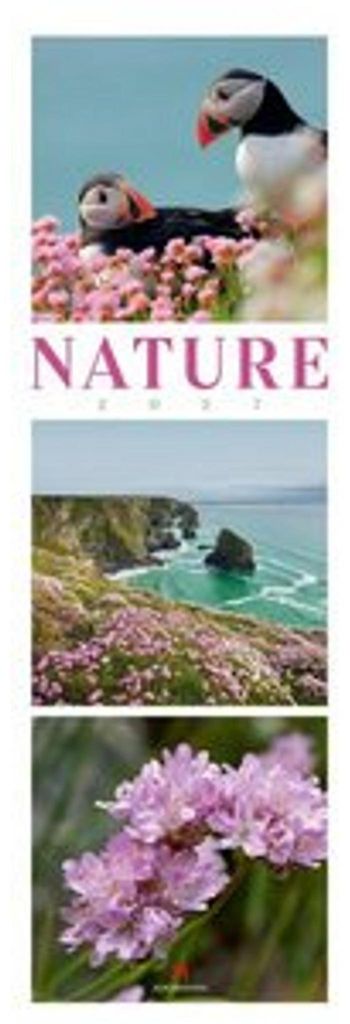 Wandkalender 2027 Triplet Natur, 33x100 cm, schlankes Produktbild 