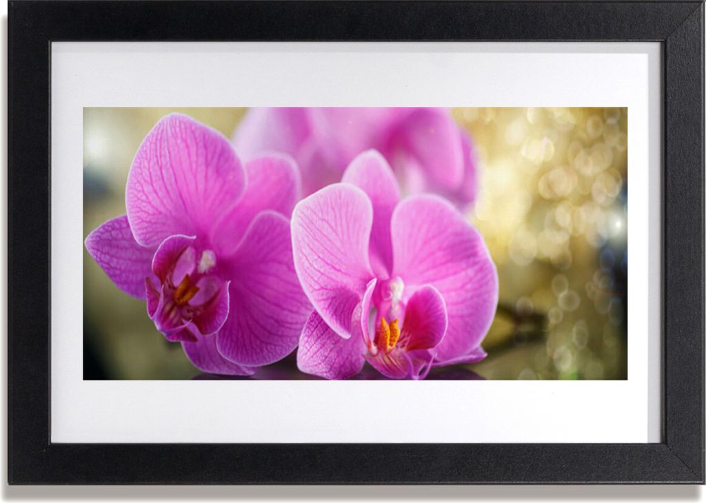 Bild 30x20 MDF-Rahmen Wandkunst Blumen Pflanzen Natur