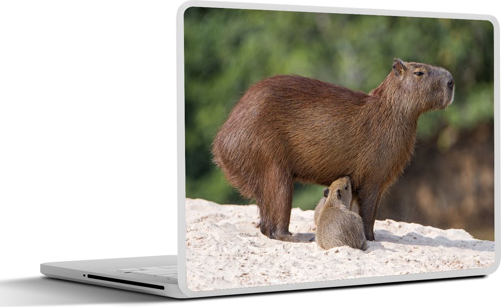 MuchoWow Laptop Aufkleber Sticker Cover Zwei Wasserschweine füttern ihre Mutter auf einer Sandbank am Fluss 25x18 cm - Laptop-Deko