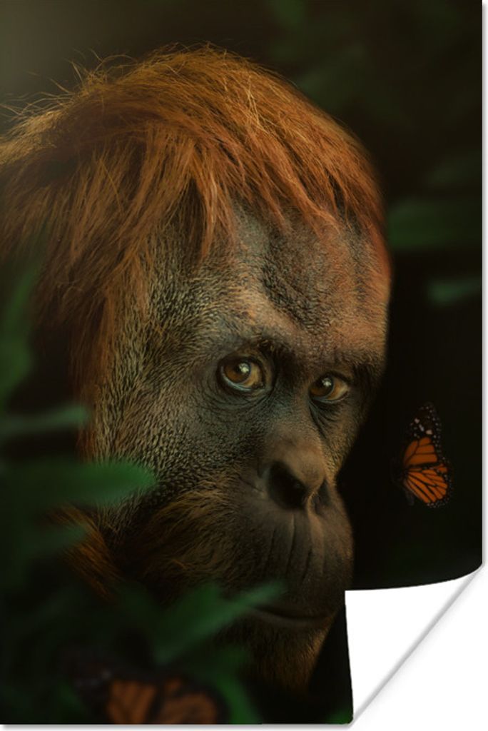 MuchoWow Poster Dschungel - Affe - Schmetterling 40x60 cm - Plakate für die Wand - Poster Babyzimmer