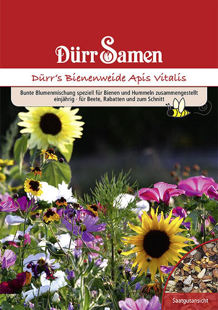 Bienen- und Hummelweide Apis Vitalis (1 kg) | Blumensamen von Dürr Samen
