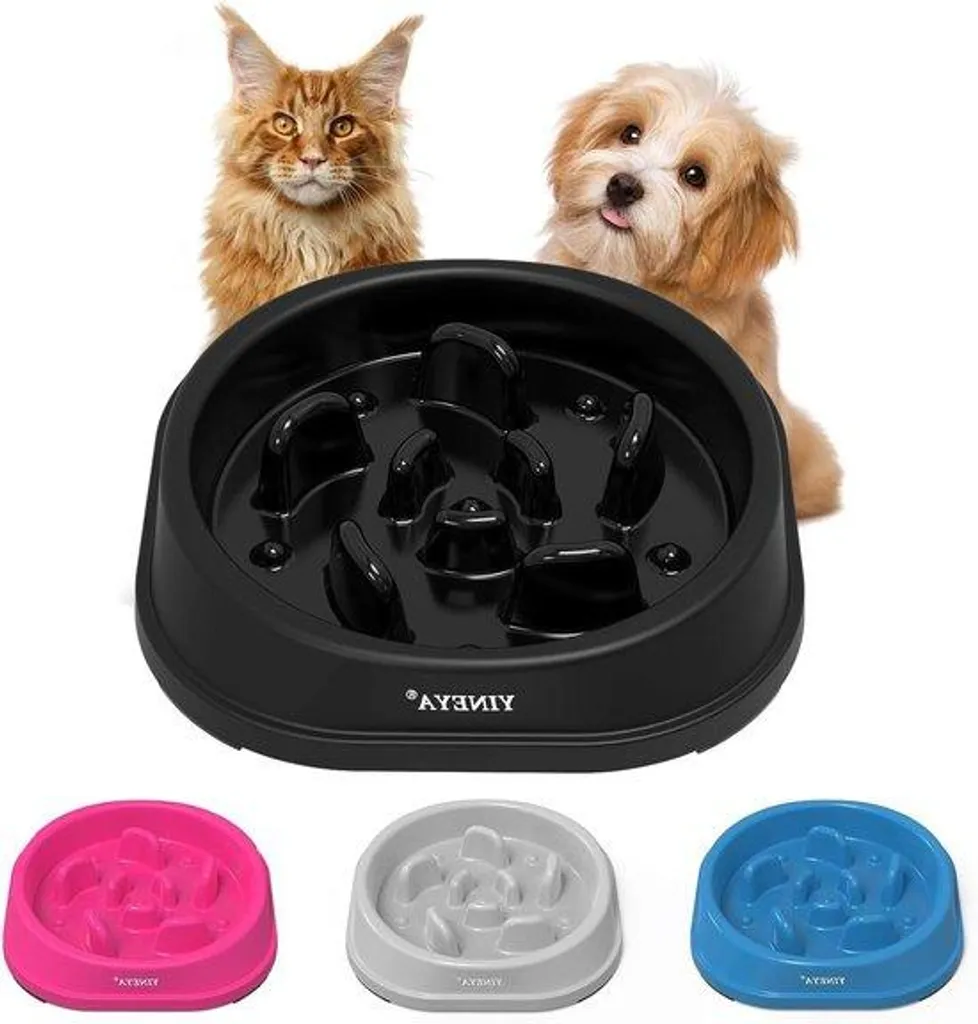 Gamelle anti-glouton : stopper les vomissements et l'étouffement du chien