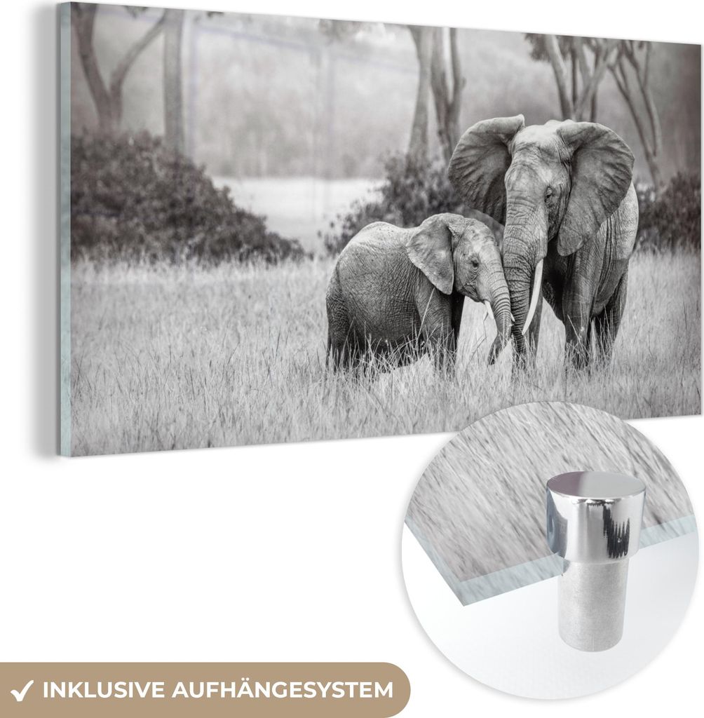 MuchoWow Glasbilder - Bilder auf Wandbild - Foto auf Glas Elefant - Tiere - Natur - Schwarz und weiß 120x60 cm Wanddekoration aus Glas - Acrylglas...