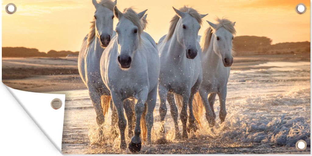 MuchoWow 160x80 cm Outdoor-Poster Gartendeko Sichtschutz Garten Poster für den Garten Pferde - Wasser - Strand - Tiere