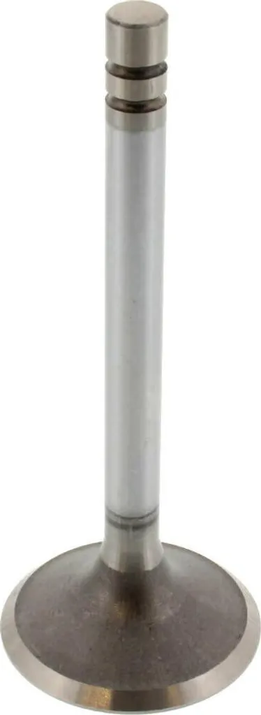 Soupape d'admission pour BMW 1134214 pièce de rechange moteur certifiée