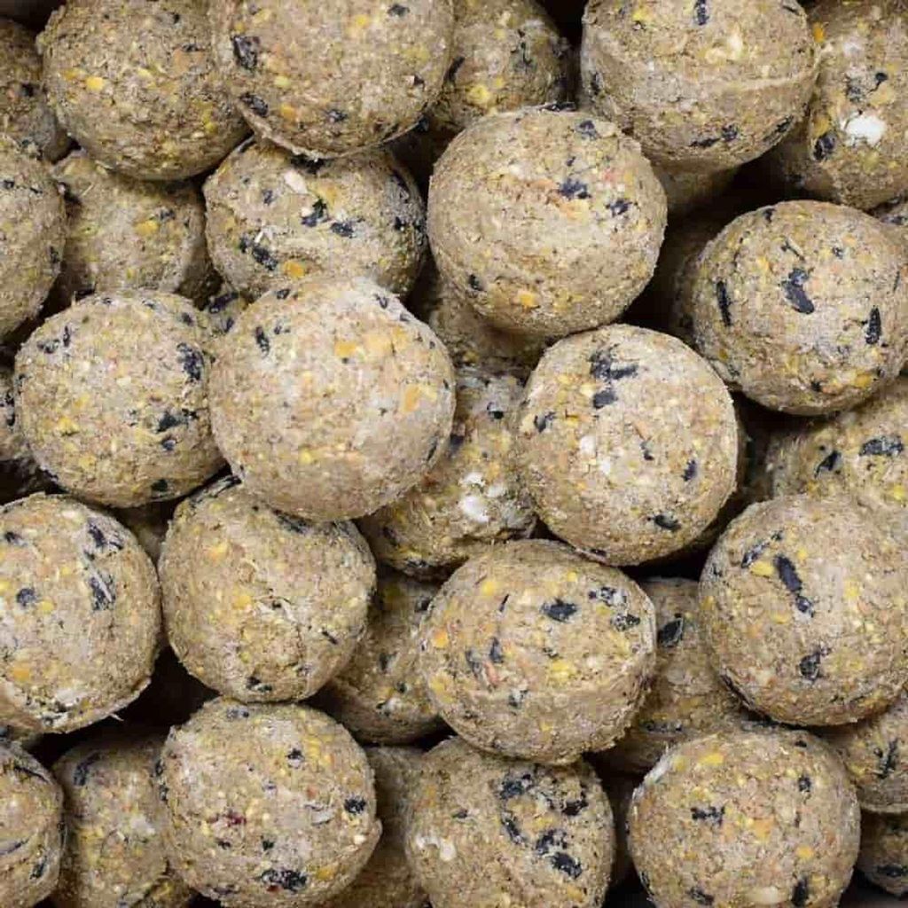Sýkorka knedľa Premium s hmyzom 200 x cca 90 gramov bez Obrázok produktu 