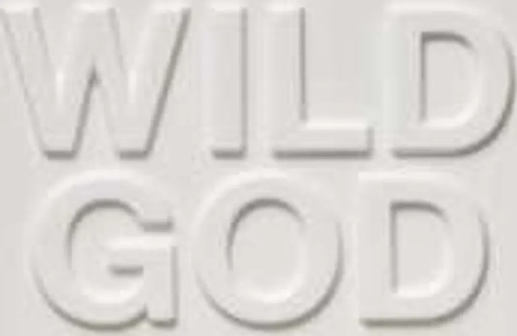 Nick Cave Wild God LP - Nouvel Album Vinyle Rock Alternatif Édition Standard