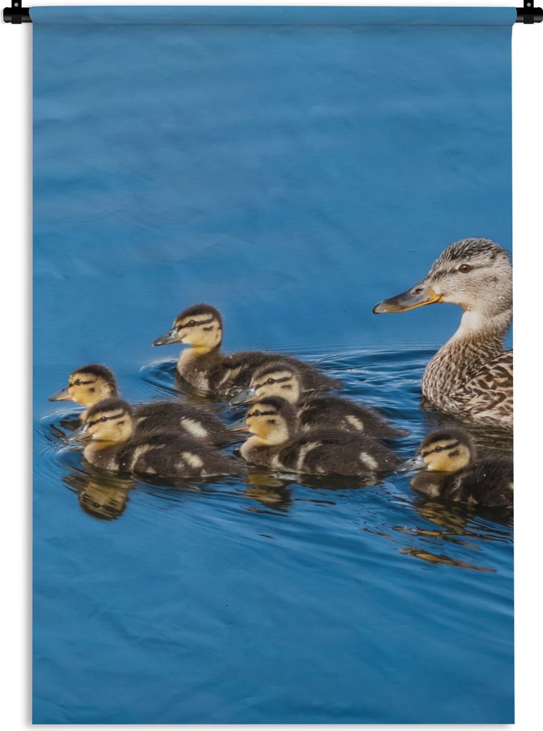 MuchoWow Wandteppich Wandbehang Ente - Wasser - Vogel - Braun 60x90 cm Tapisserie Dekoration Wandtuch - Foto-Teppich - Abwaschbar
