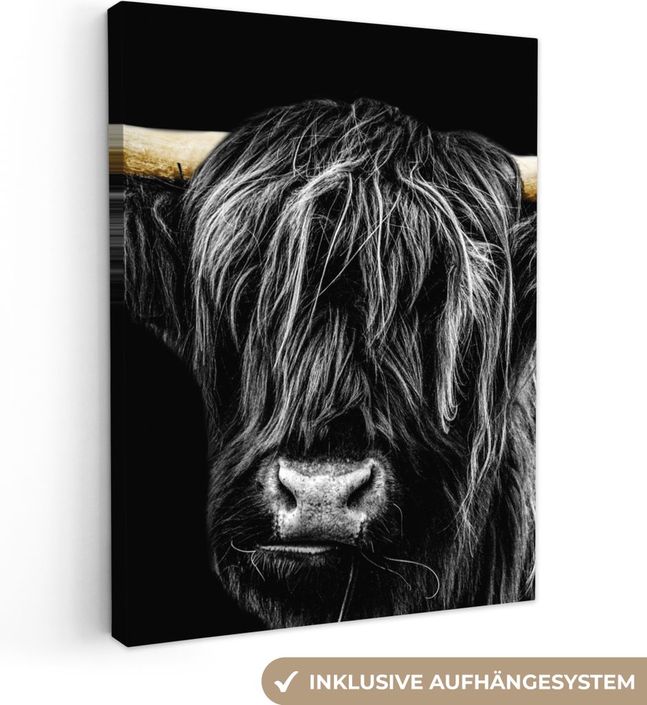 MuchoWow - Leinwandbilder - Schottischer Highlander - Gold - Mantel - Tiere - Kuh, Wandbild, Wanddeko Bilder Wohnzimmer, 30x40 cm