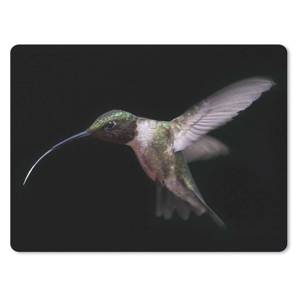 MuchoWow Mauspad Mousepad Kolibri - Vogel - Federn 40x30 cm - Mousepads - Maus Mat - Pad - Mausunterlage - Anti Rutsch
