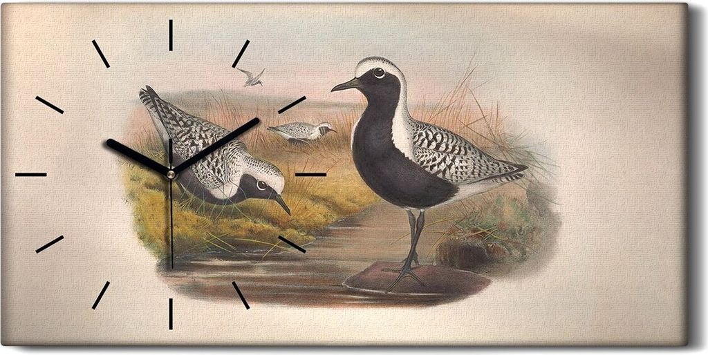 Dekor Leinwand Uhr Wandbilder Geräuschlos 60x30 Vögel Wild Tiere Zeichnung Kunst - schwarze Hände