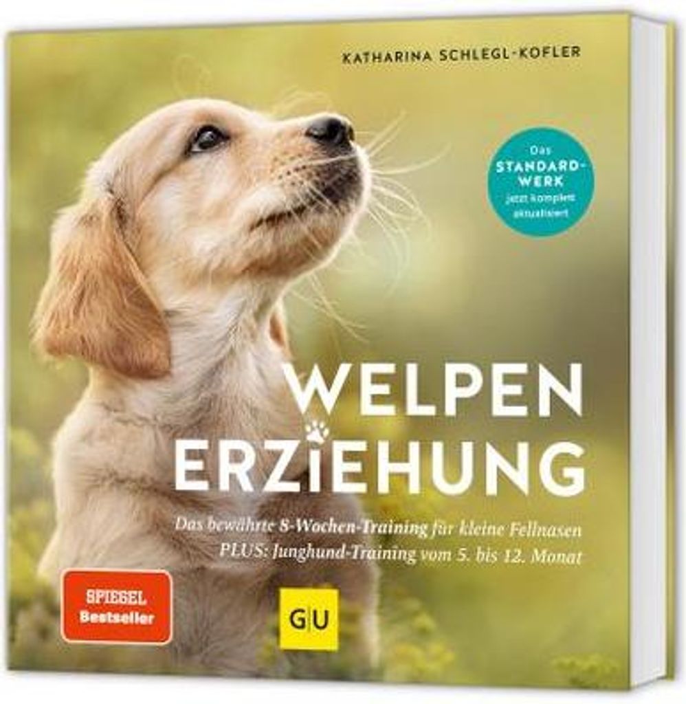 Welpen -Erziehung