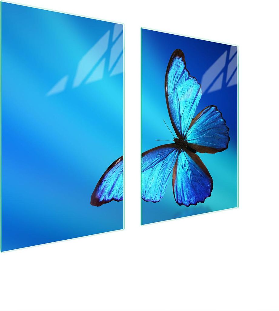 Glasschutzplatte Für Küche 65X52 Butterfly