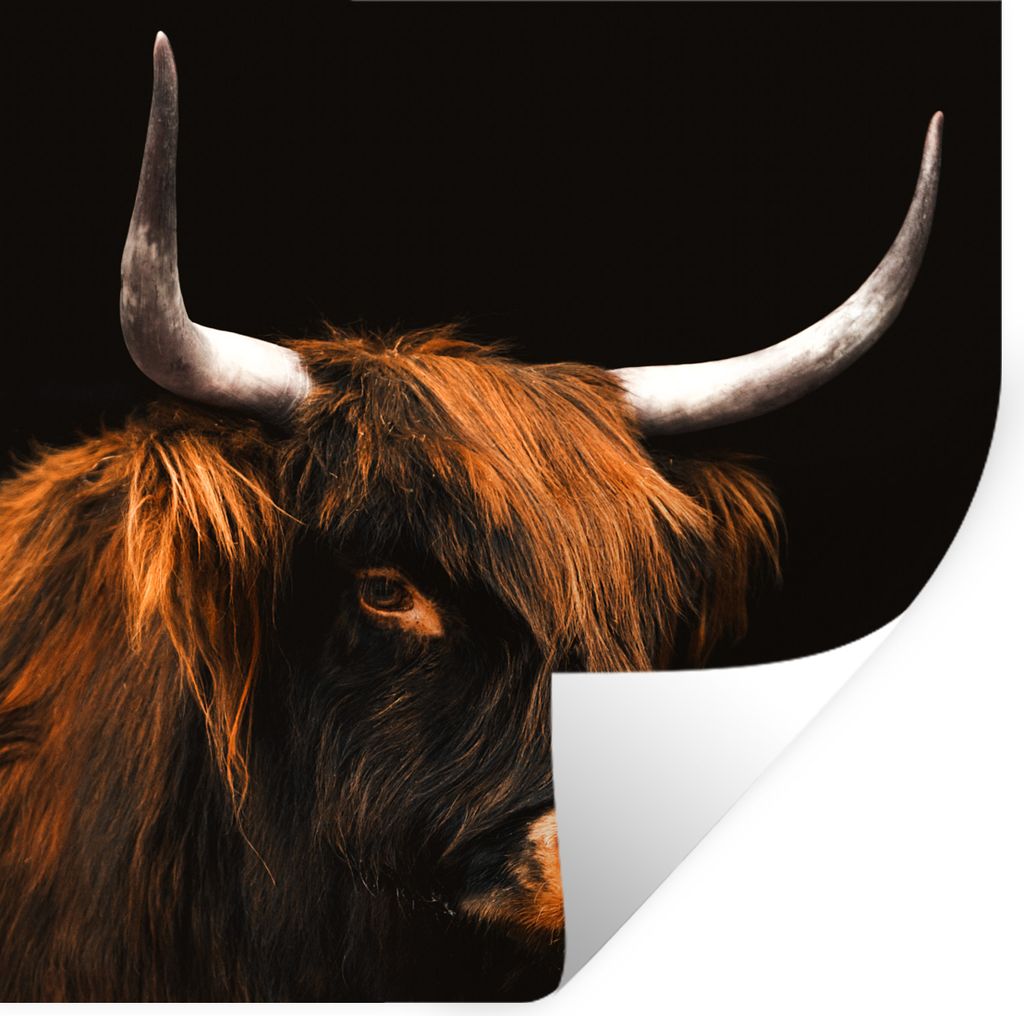 MuchoWow Wandtattoo Wandsticker Wandaufkleber Schottischer Highlander - Kuh - Schwarz 50x50 cm Selbstklebend und Repositionierbar - Selbstklebend...