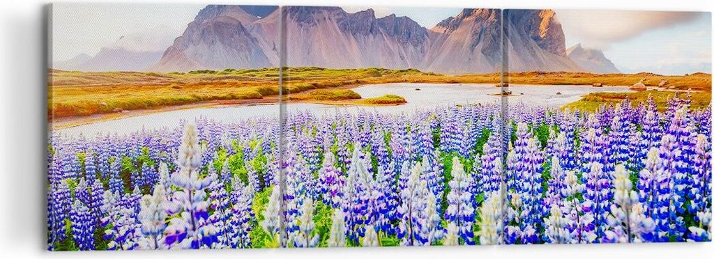 Bild auf Leinwand - Leinwandbild - Berge Wiese Blumen - Produktbild 