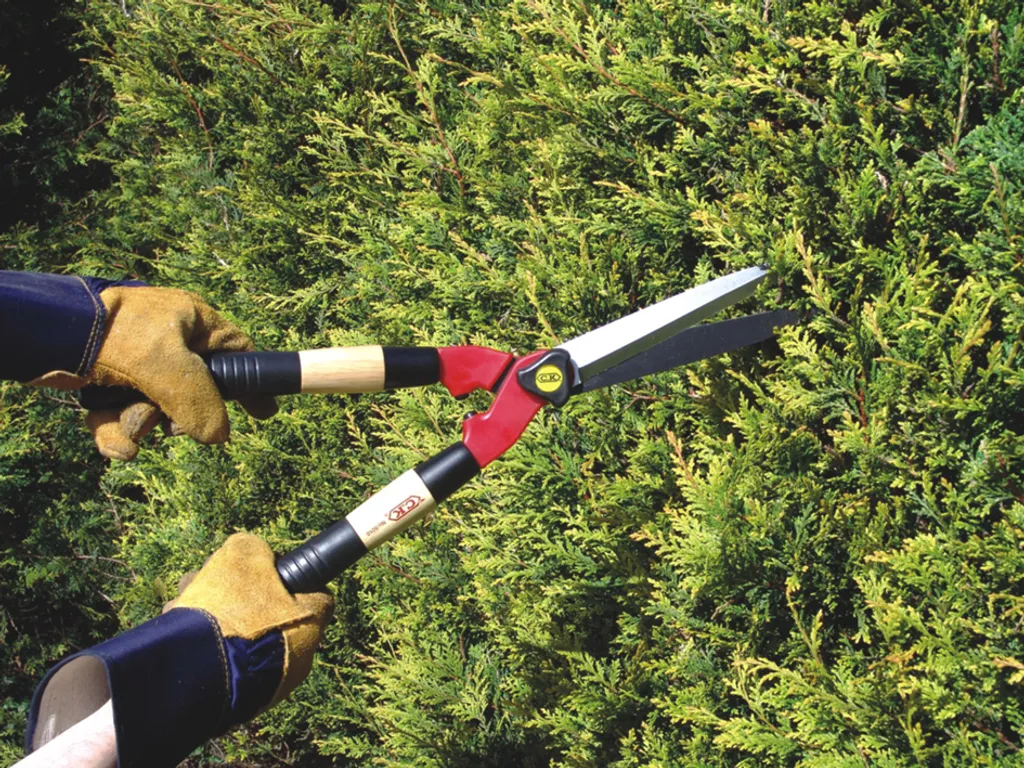 Cisaille à haies 520 mm avec lames en acier trempé - Coupe ultra nette