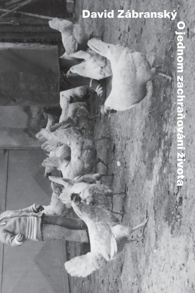 Roman Contemporain O jednom zachraňování života - David Zábranský Littérature