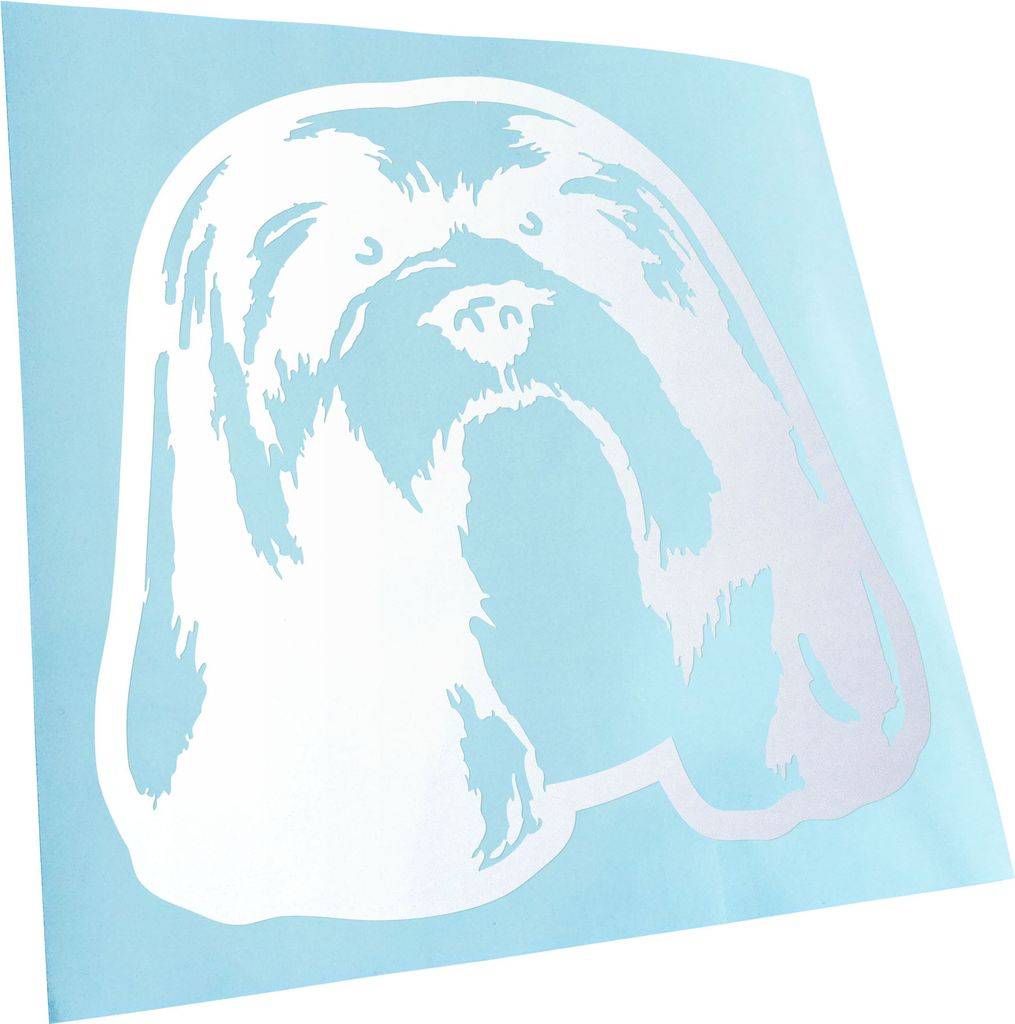 Kiwistar - Autoaufkleber - lhasa apso Hund - Mattweiss - 30x30cm - Aufkleber für Auto, Laptop, Fahrrad, LKW, Motorrad mehrfarbig JDM Decal Racing