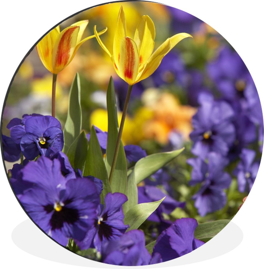 MuchoWow Aluminium Wandkreis Frühling - Blumen - Farben Ø 90 cm Wanddeko Modern Wohnzimmer - Mauerkreis - Wandbilder - Runde Bild - Bild aus Al...