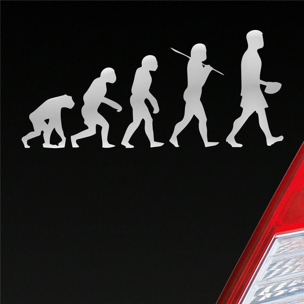 Auto Aufkleber Evolution Football Sport Ball 20x10 cm Silber Sticker Heckscheibenaufkleber