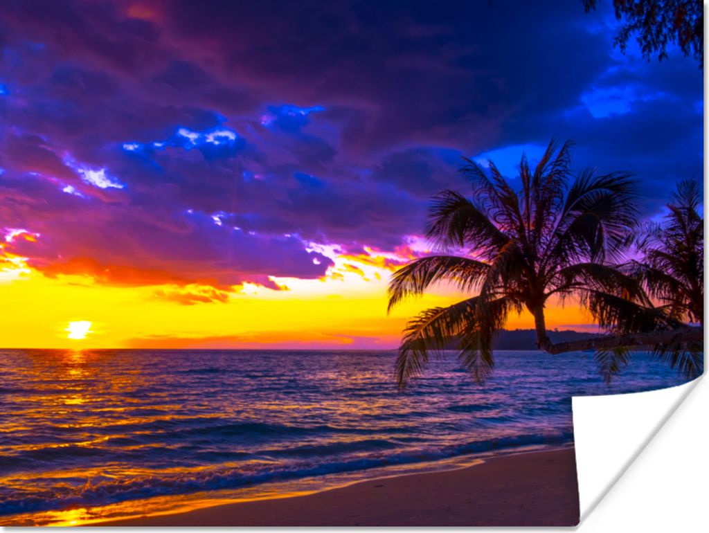 MuchoWow Poster Palme - Lila - Sonnenuntergang - Strand - Meer 80x60 cm - Kunst für zu Hause