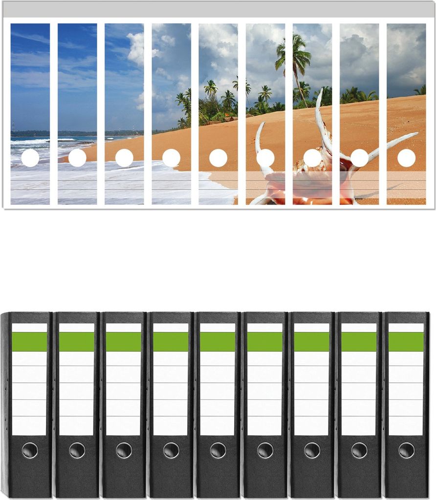 Wallario 9 Stück breite Ordner inkl. Klebeetiketten mit Motive Prächtige Muschel am Strand - Set mit Rückenschildern / Ordnerrücken Stickern