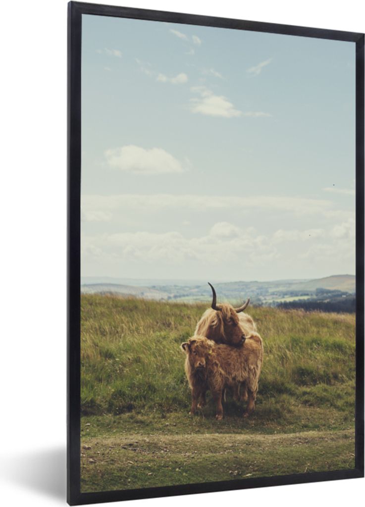 MuchoWow Gerahmtes Poster Schottische Highlander - Gras - Wolken - Tiere 20x30 cm - Poster mit Schwarzem Bilderrahmen Wandposter Rahmen Foto Bild...