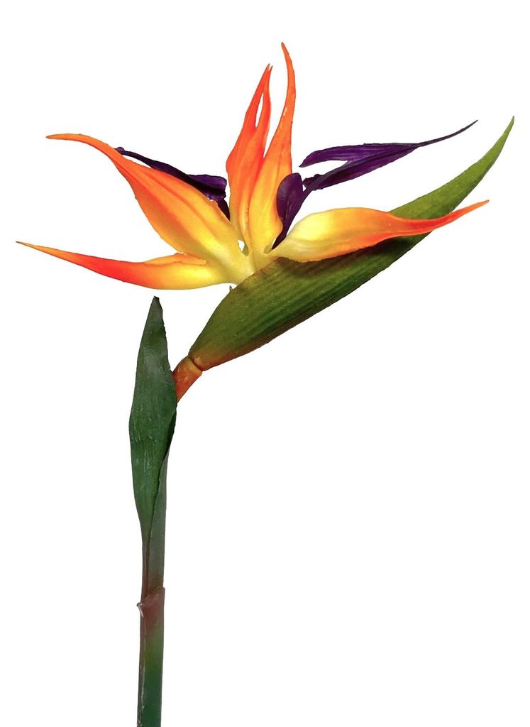 Künstliche Strelitzie ca. 60cm Paradiesvogelblume Produktbild 